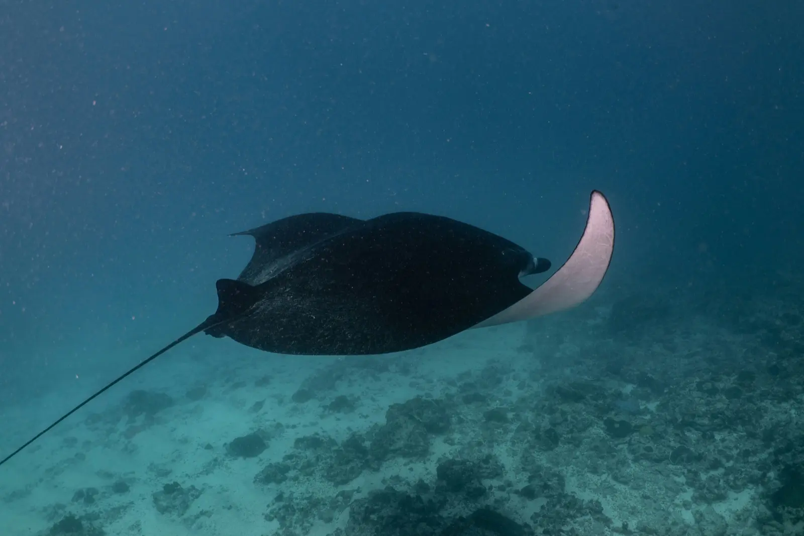 Manta Point on the Marea route