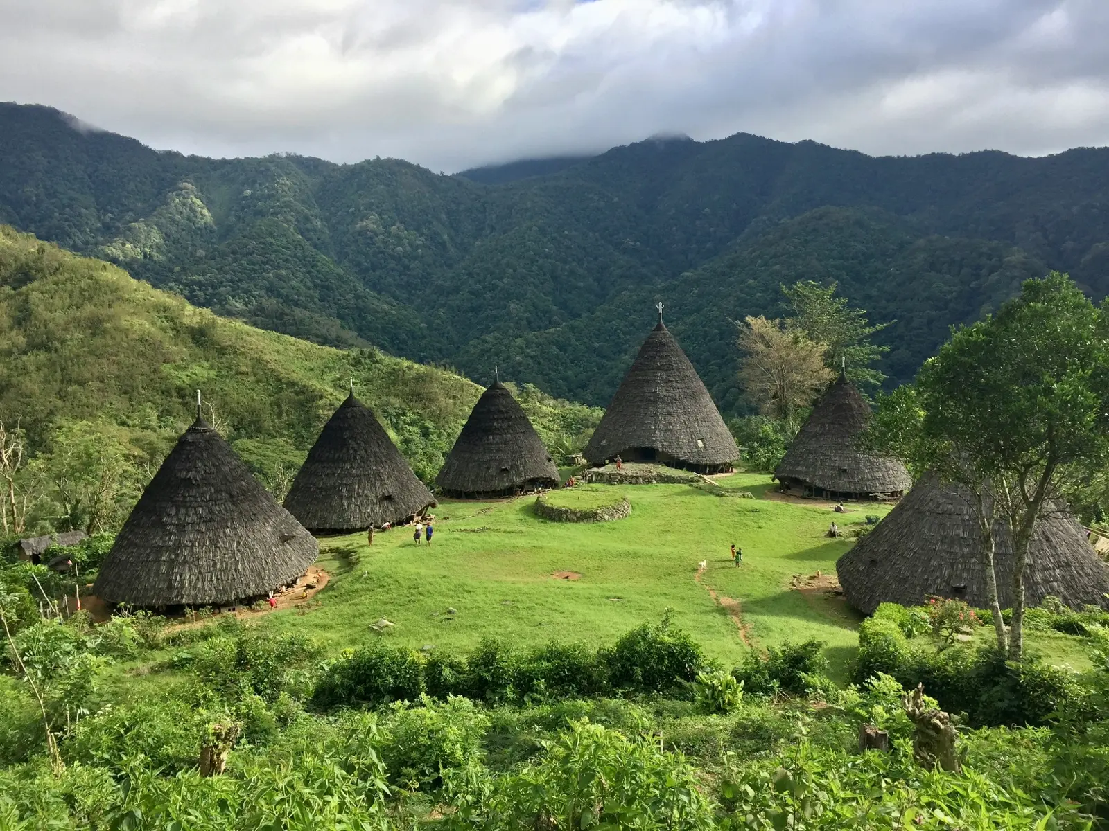 Waerebo — A 2D1N trek to the traditional highland village above the clouds — cone-roofed houses, mountain coffee and a night with the community.